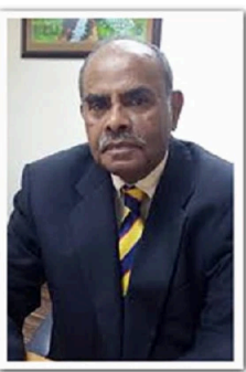 Mr. K Kesavapany