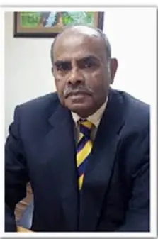 Mr. K Kesavapany