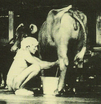 Indian milkman