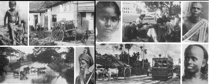 Historical Photos 1800s-1900s