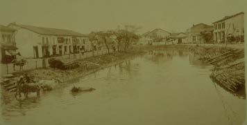 Buffaloes in Rochor River