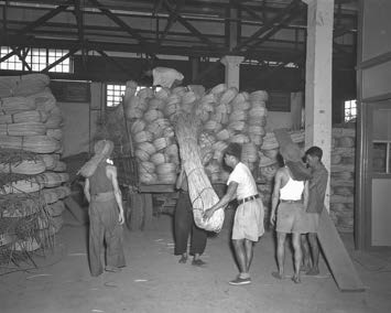 Rattan factory workers