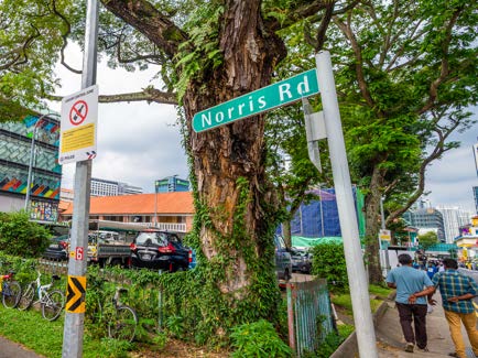 Norris Road