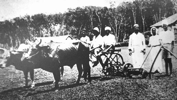 A bullock cart and some men