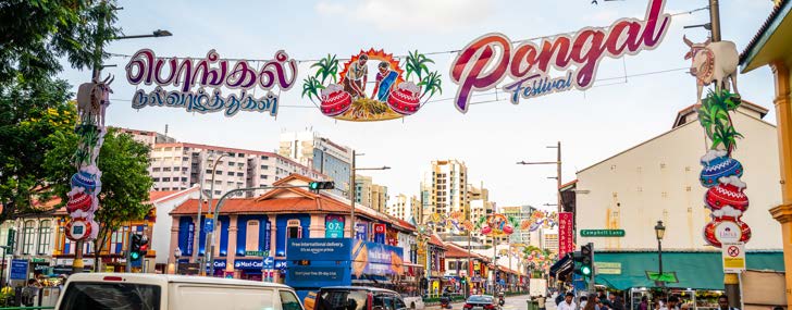 Pongal Light-Up decorations